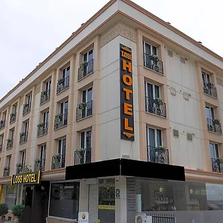 Loss Hotel 4*