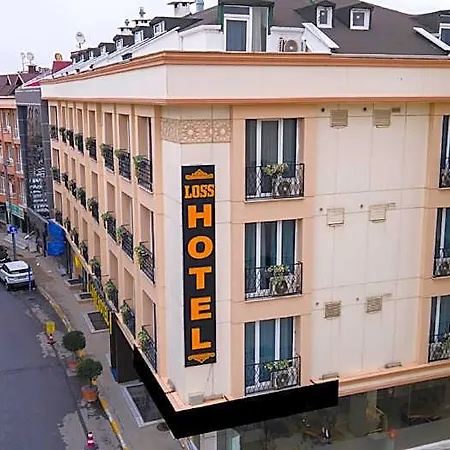 Hotel Loss 4*